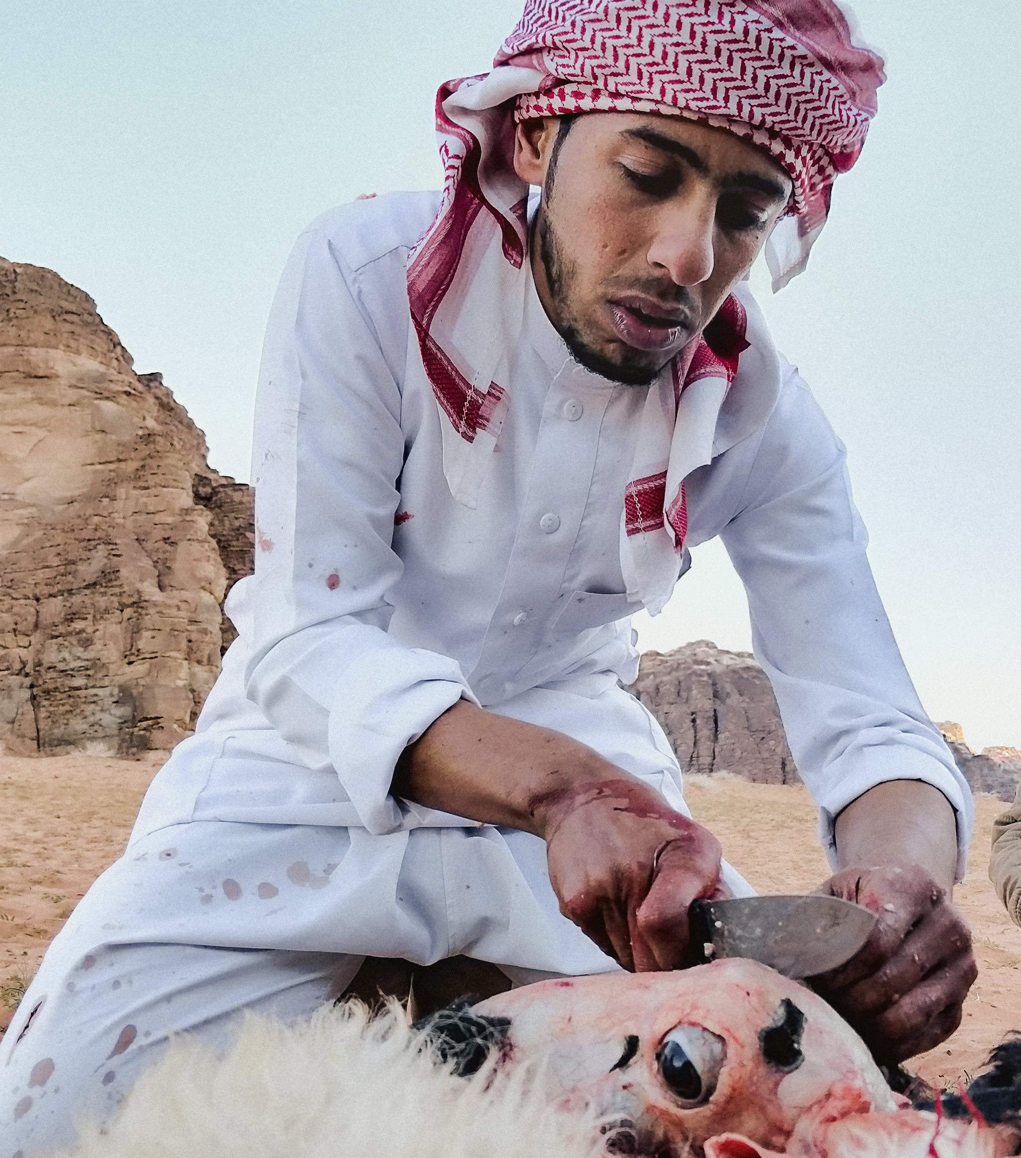 Wadi Rum nylkee eläintä.